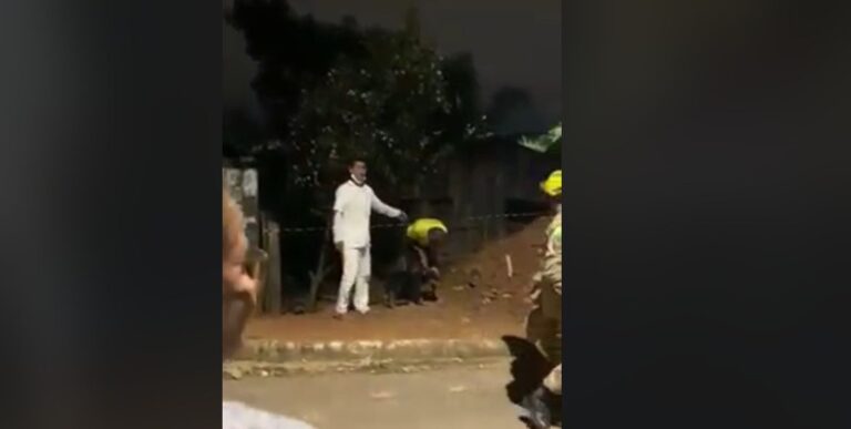 Cachorro é resgatado com vida após desabamento de casa na Estação Experimental