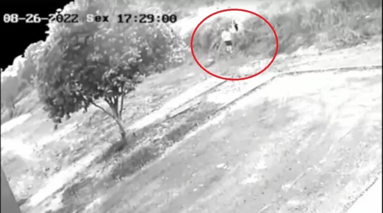 VÍDEOS: criança causa incêndio que consumiu mais de 400 mil m² de área de preservação