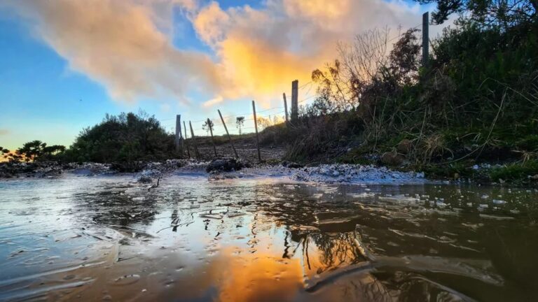 Veja as imagens do dia mais frio do ano no sul do país