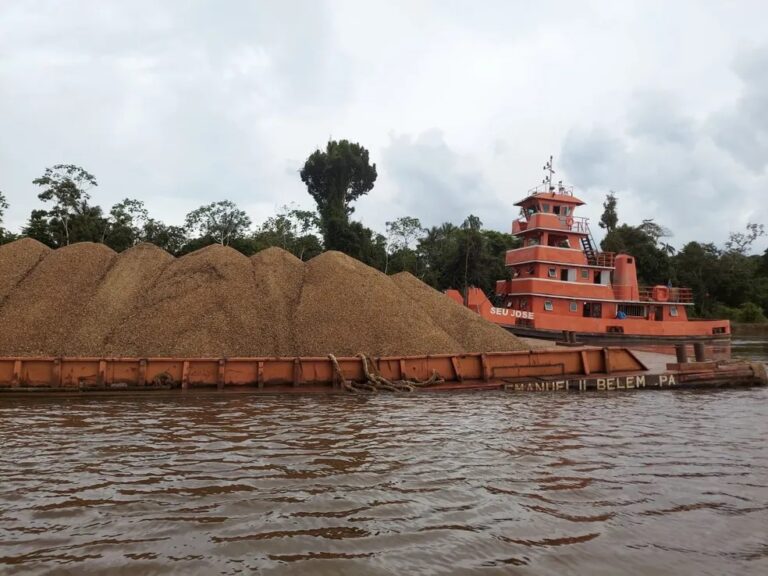 Adolescente explorada sexualmente por tripulante de embarcação é resgatada