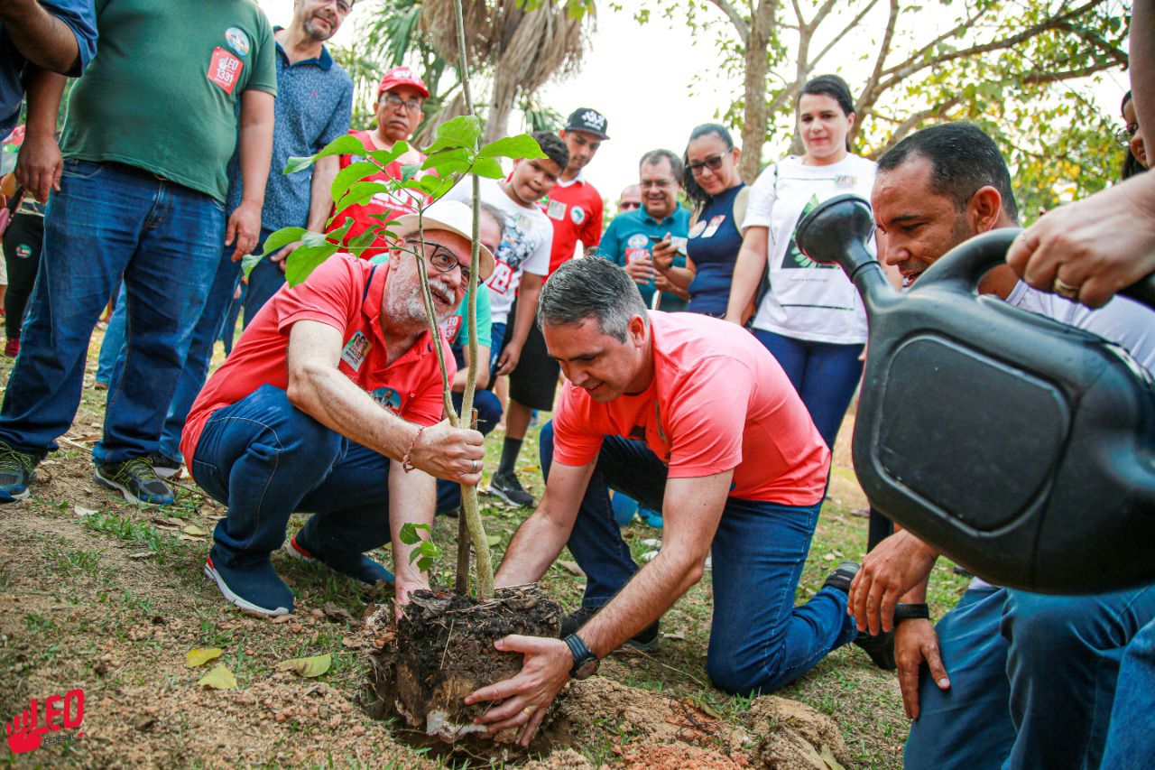 Dia da Amazônia: Marcus e Nazaré plantam ipês em parque da capital