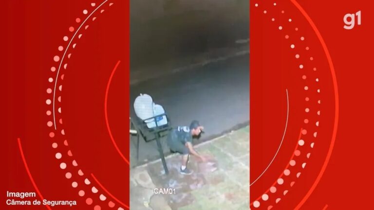 Uma hora após plantar grama, homem tem todo o jardim furtado; veja vídeo