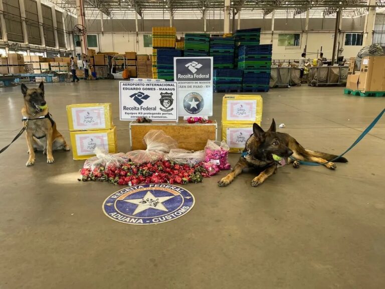 Receita Federal apreende mais de 15 kg de drogas com cobertura de chocolate