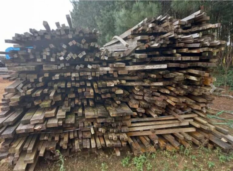 PRF realiza leilão de madeira apreendida; lances vão de R$ 600 a R$ 90 mil