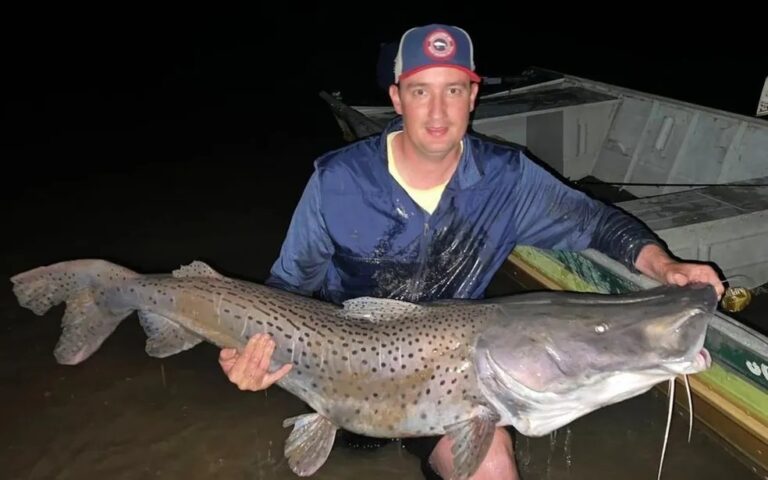 VÍDEO: à deriva, pescador enfrenta corredeiras com pintado de 40 kg fisgado