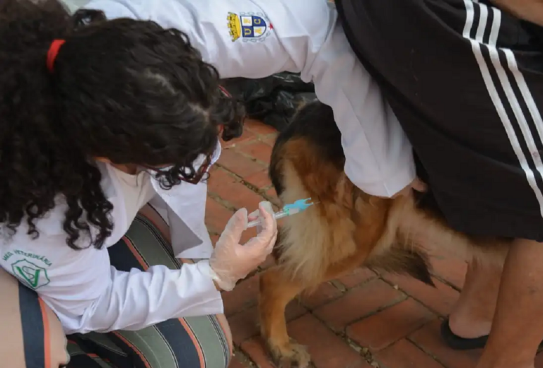Prefeitura de Rio Branco realiza vacinação antirrábica neste sábado; saiba onde