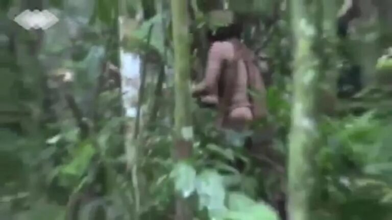 Último Tanaru, conhecido como ‘Índio do Buraco’, é enterrado no sul de Rondônia