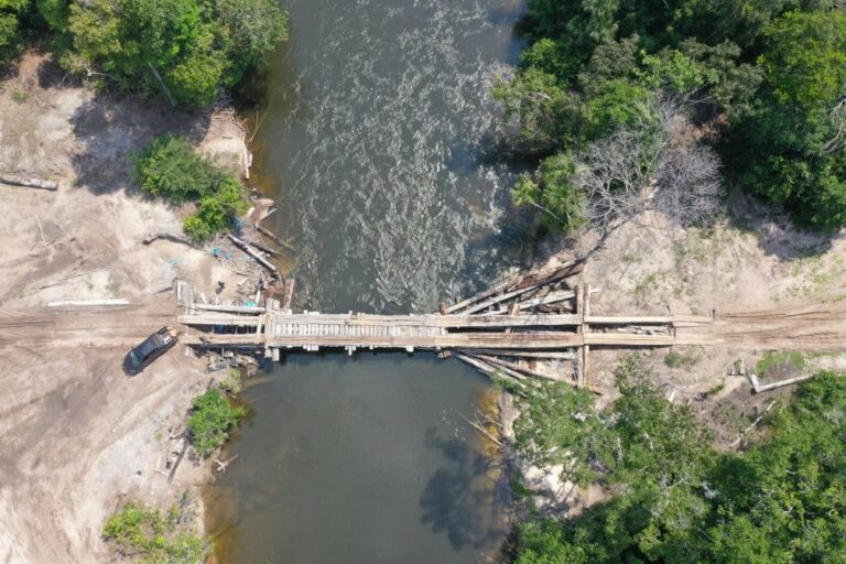 FOTOS: PF destrói ponte clandestina usada para retirar madeira ilegal de área de preservação em RO