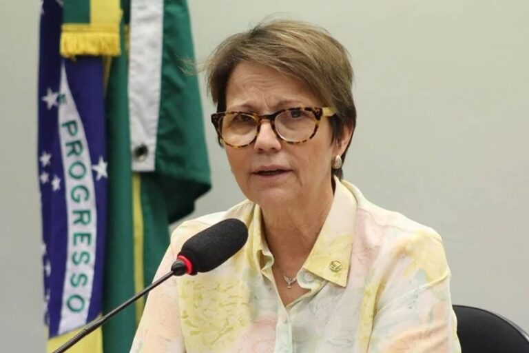 Eleições 2022: Tereza Cristina é eleita senadora em Mato Grosso do Sul