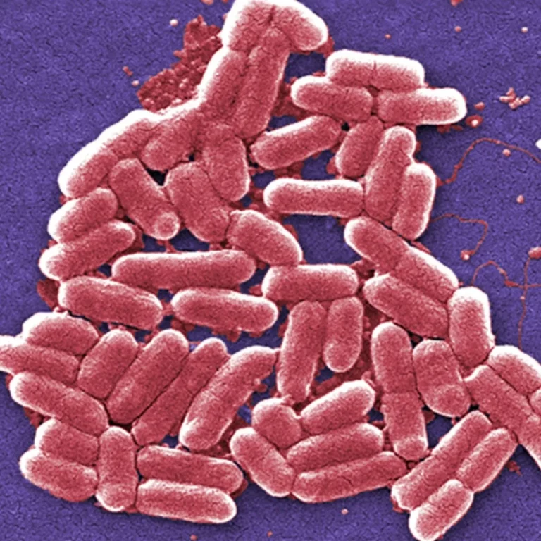 Caso de meningite em criança de 9 anos é confirmado em Rio Branco