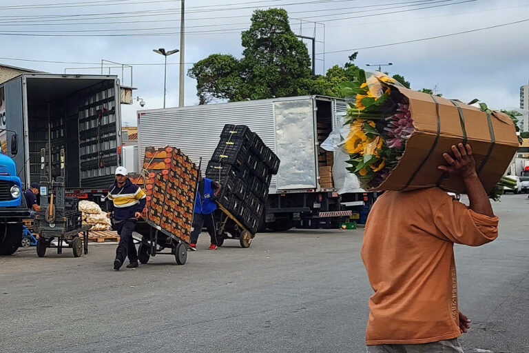 Bloqueios podem fazer faltar flores no dia de Finados