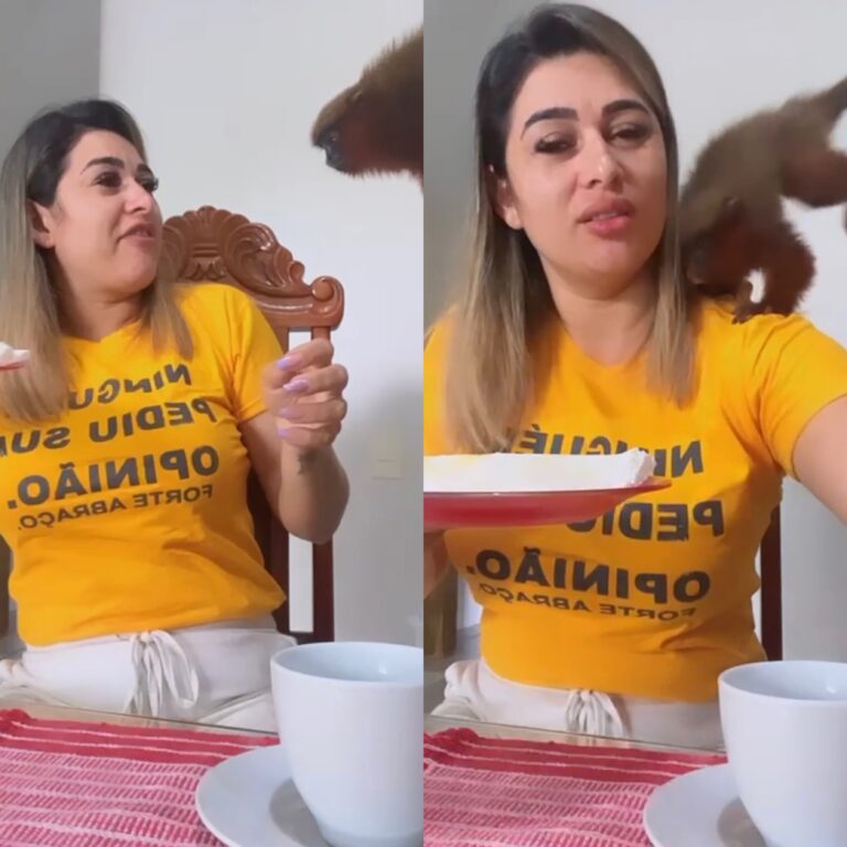 Influenciadora acreana mostra ‘macaca’ invadindo cozinha no café da manhã; assista