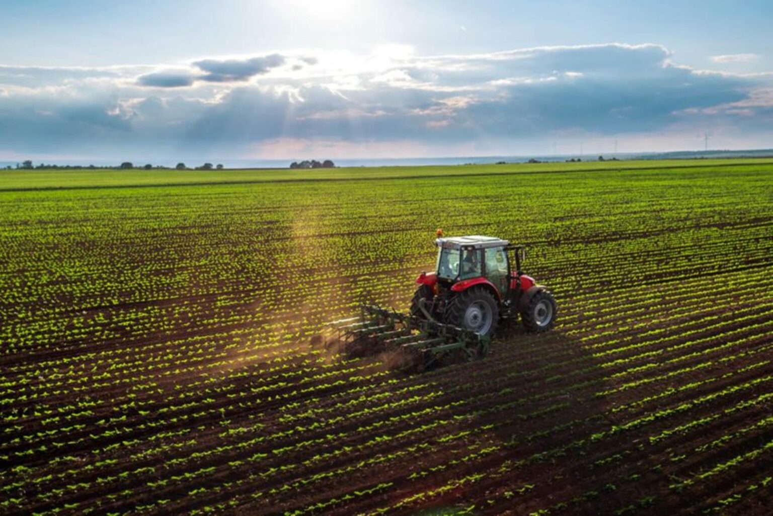 Acre cresce 11,8% no agronegócio em 2025 e supera média nacional