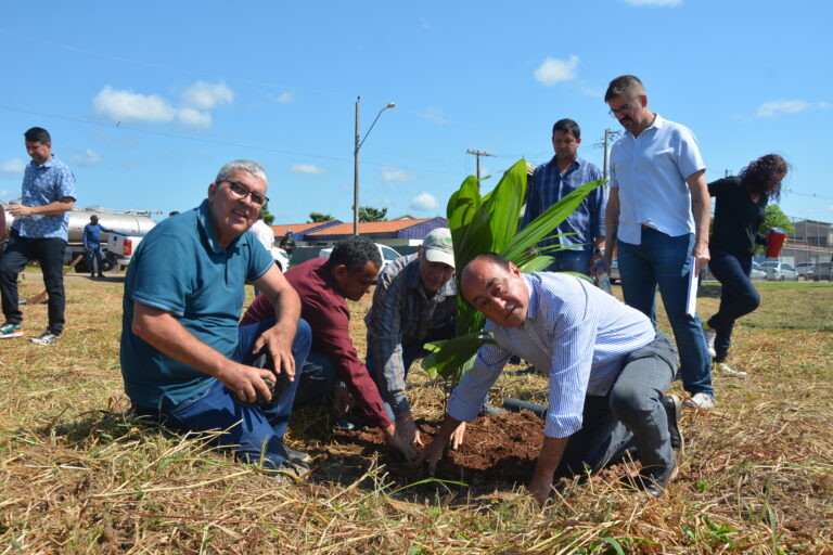 Prefeitura inicia reflorestamento de Áreas de Preservação Permanente na Sobral