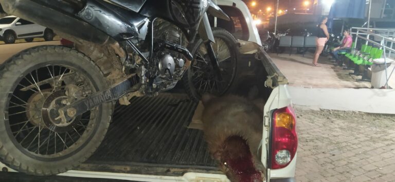 Policial fratura o braço ao colidir moto contra capivara em Sena Madureira