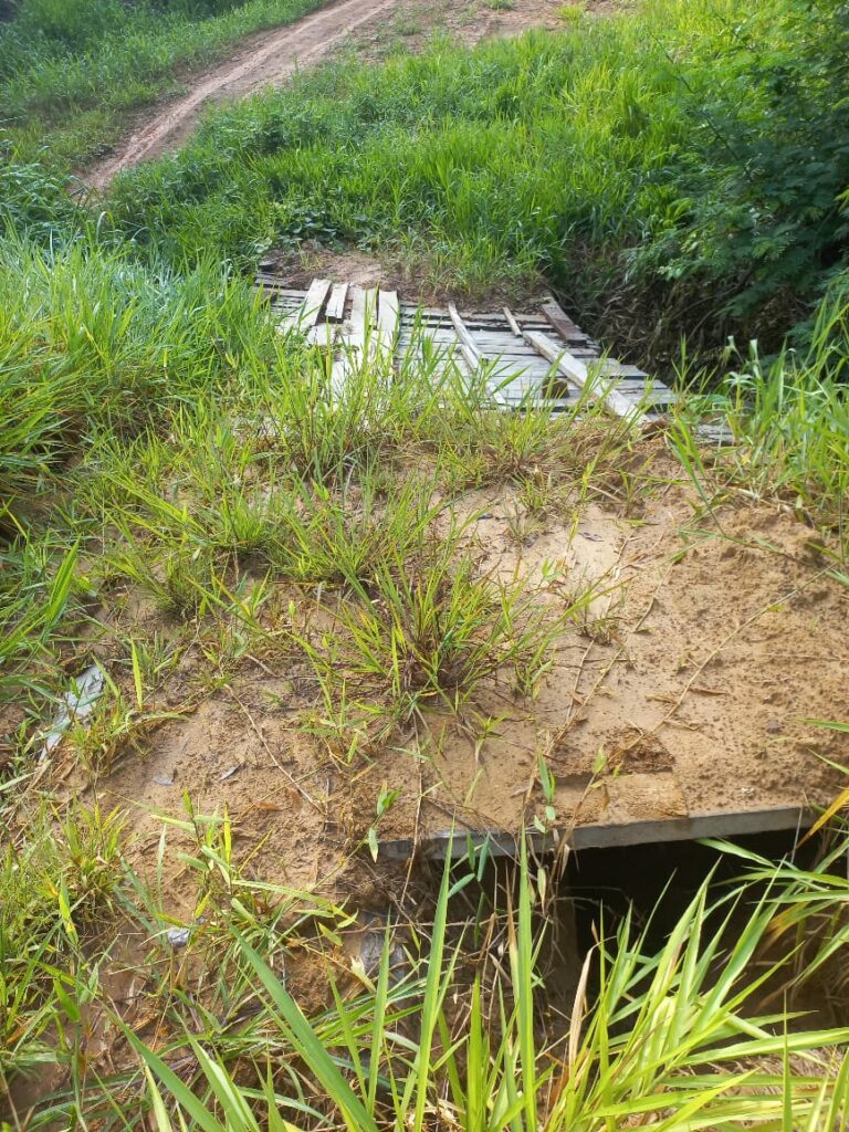 Temendo isolamento, comunidade em Sena pede providências para recuperação de ponte