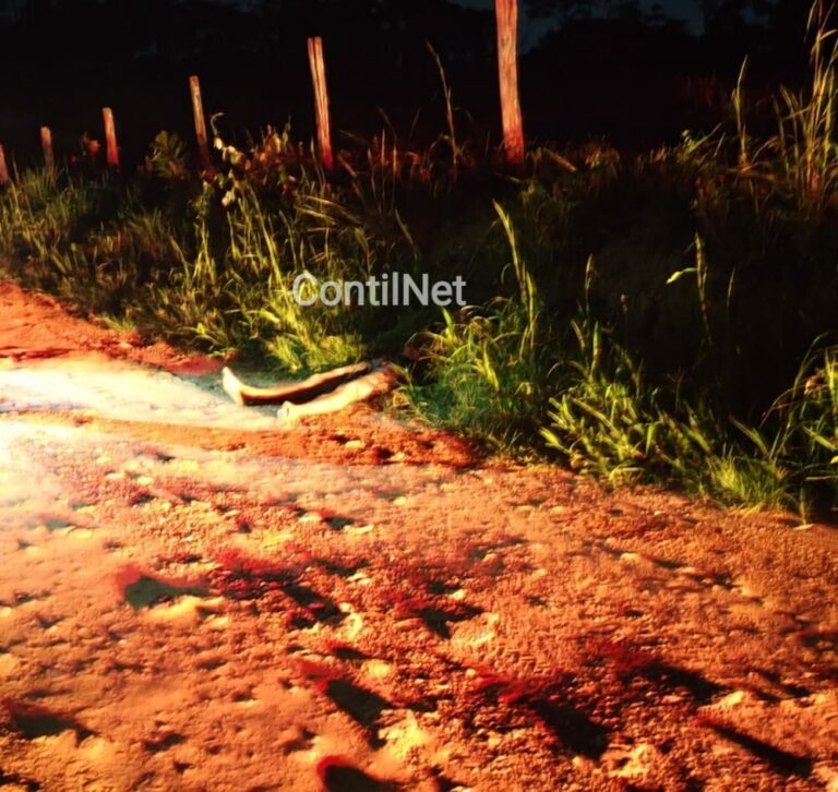 Moradores ouvem gritos de socorro e encontram motorista de aplicativo morto, com duas facadas