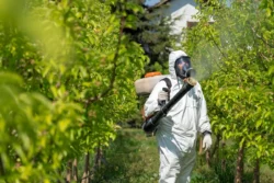 Acre registra quase 500 casos de intoxicação por agrotóxicos em seis anos