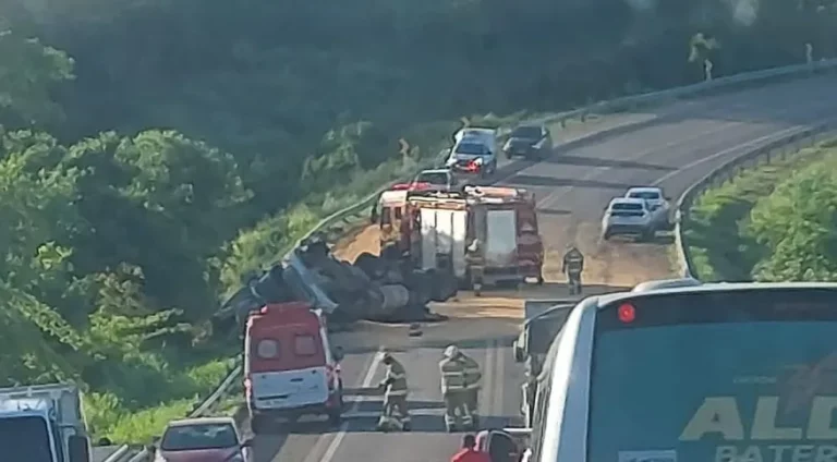 Ataque de abelhas causa tombamento de caminhão em BR