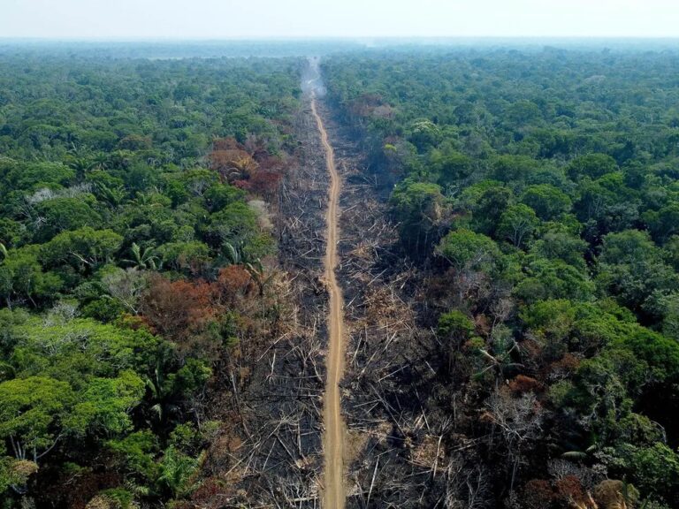 Amazonas tem pior novembro dos últimos 13 anos com queimadas