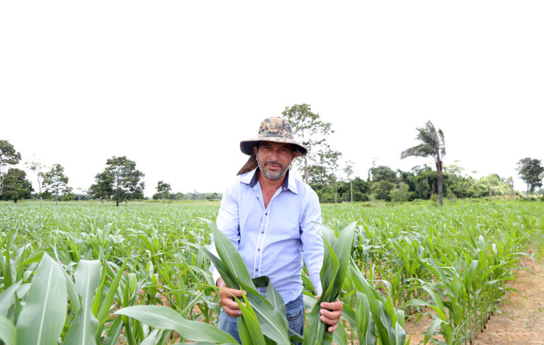 Prefeitura investe na produção de grãos visando geração de emprego e renda na zona rural
