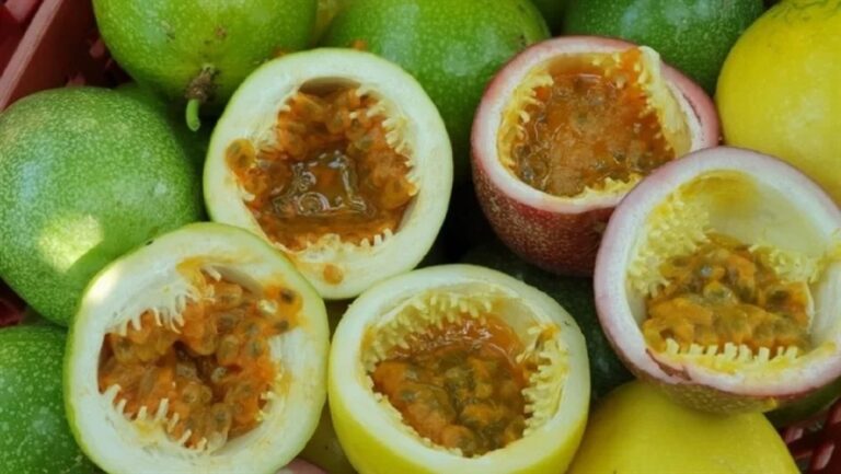 Acre tem mais de 3 mil toneladas de maracujá sem destino — De quem é a culpa?