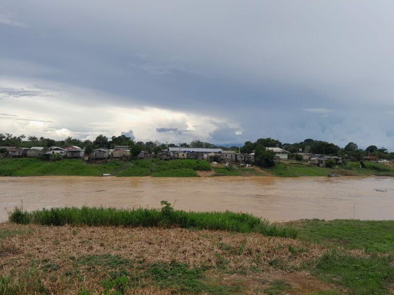 Após intensas chuvas, nível do Rio Iaco atinge 11,19 metros em Sena Madureira