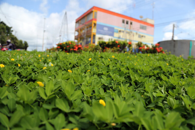 Prefeitura continua com implantação de mais jardins para melhorar paisagem de Rio Branco