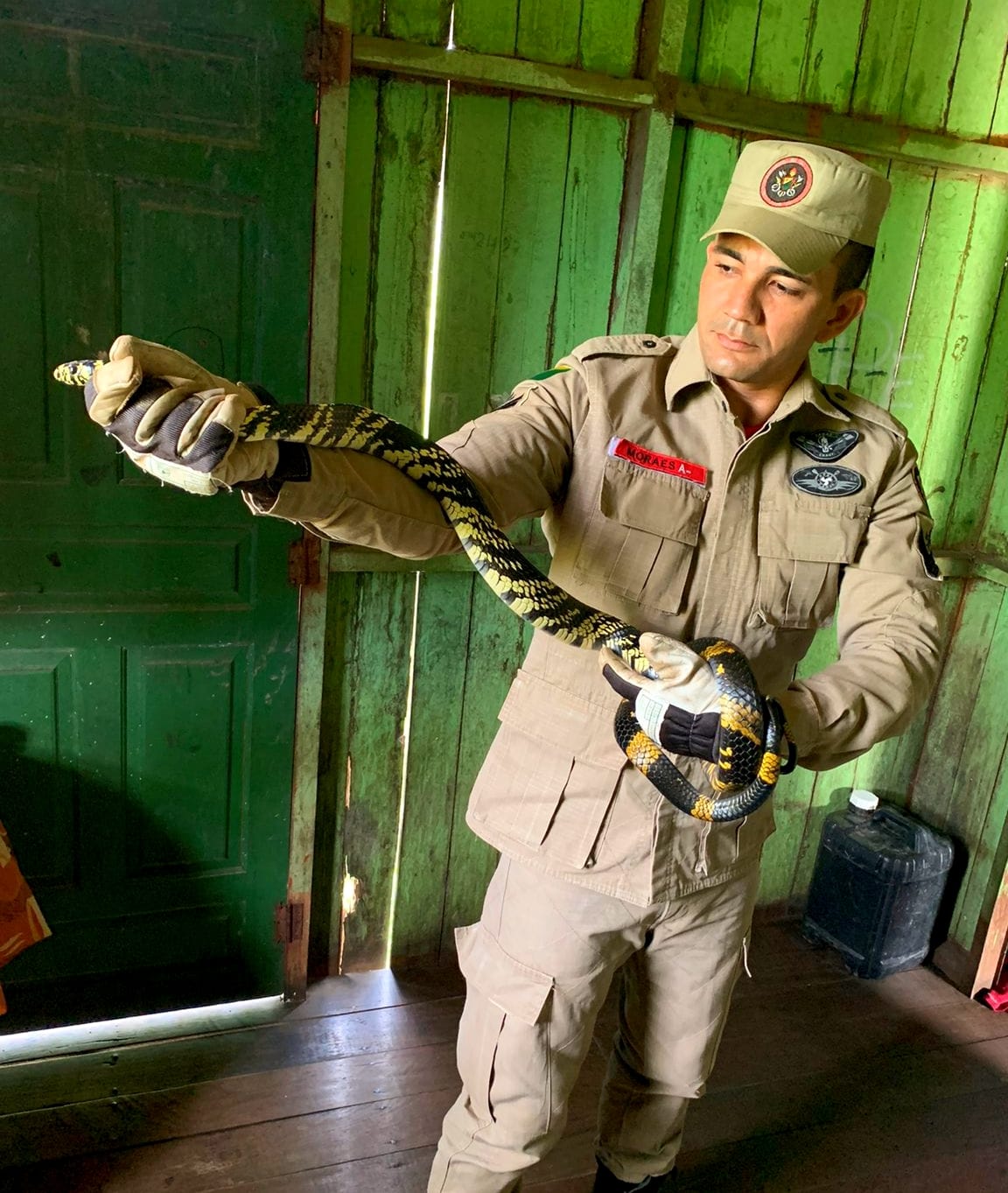 Bombeiros capturam cobra caninana dentro de residência em Sena Madureira