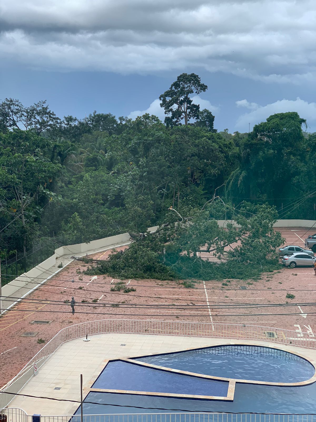 Vento forte derruba árvore e poste em condomínio de luxo de Rio Branco; VEJA IMAGENS