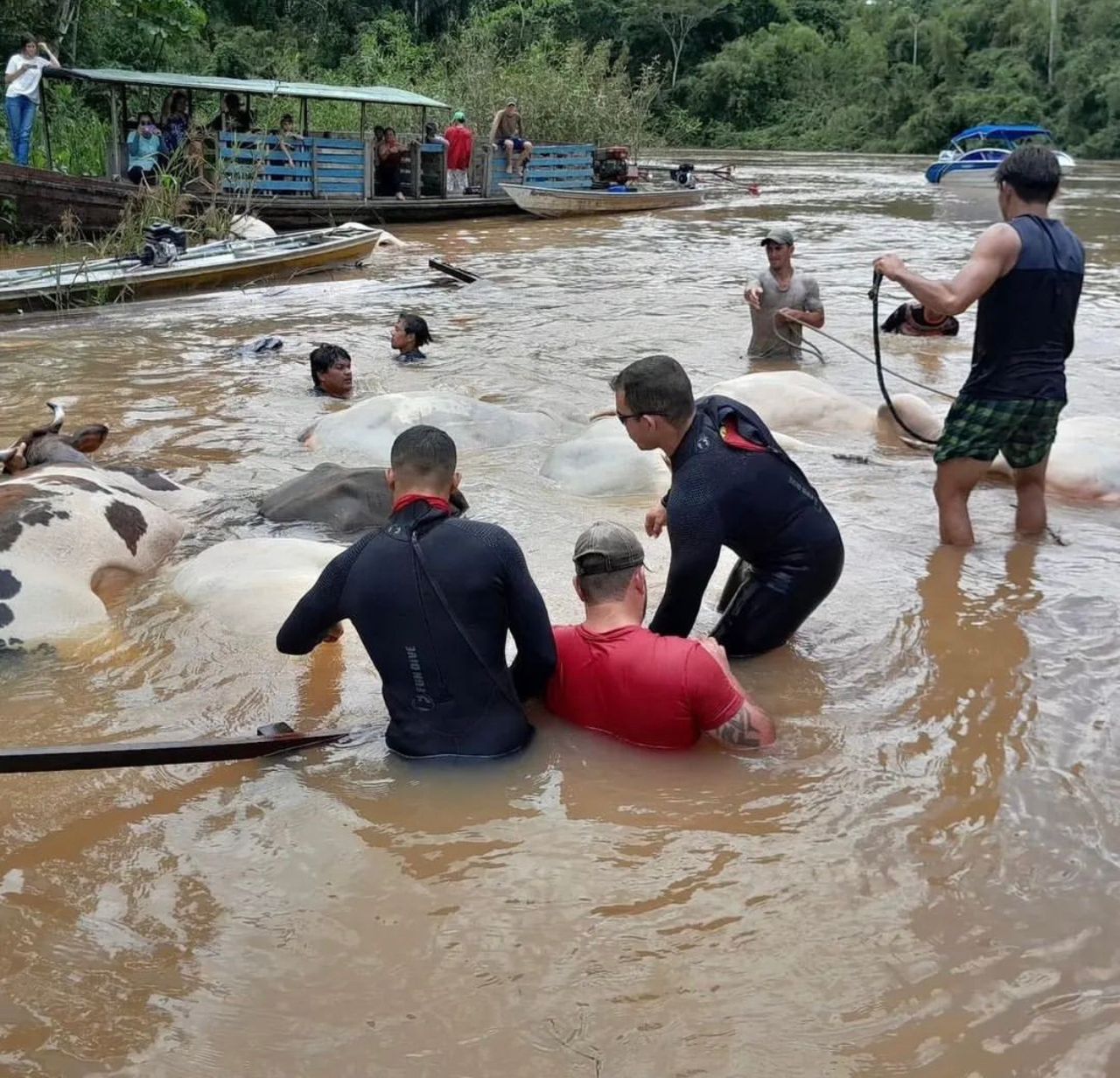 Barco afunda com quatro pessoas e vários bois em rio no interior do Acre
