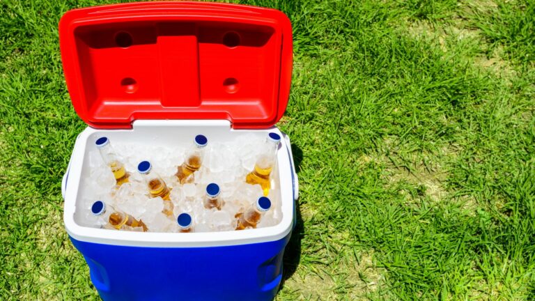 Foliões não poderão entrar com ‘geleiras’ no Carnaval de Rio Branco; veja o que pode e não pode