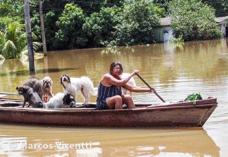 Acreana resgata cachorros de canoa enfrentando águas profundas de bairro alagado; FOTOS
