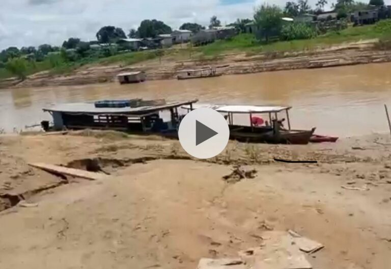 VÍDEO: cobra gigante balança embarcação em rio no Acre e idoso fica apavorado