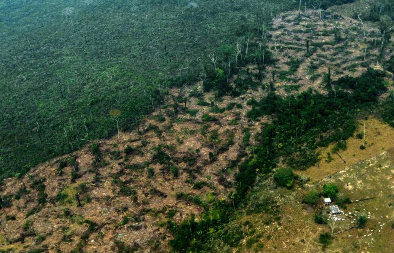 Pesquisadores acreanos são destaque nacional após estudo sobre incêndios