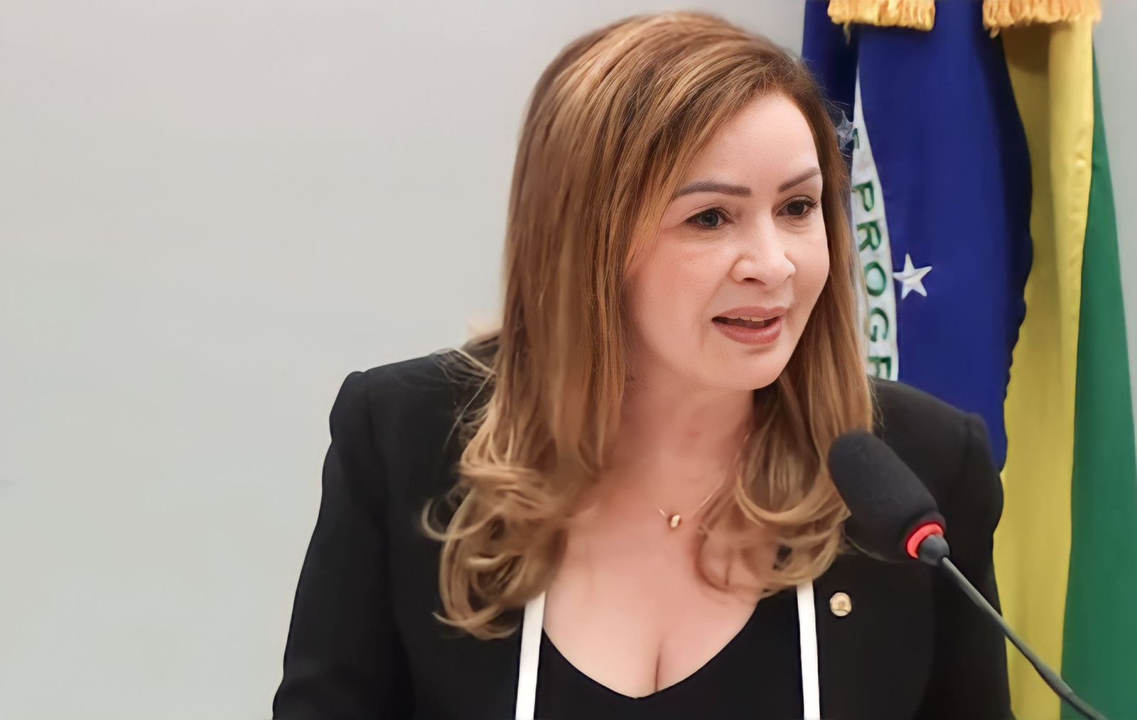 Deputada Socorro Neri é eleita vice-presidente da Comissão de Educação