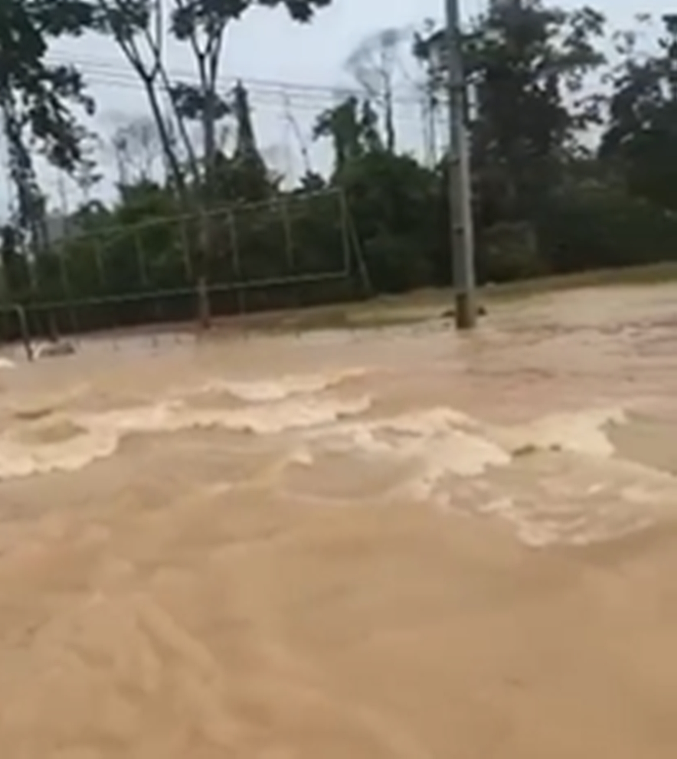 Chuva deixa bairros de Rio Branco alagados e com fortes correntezas; VEJA VÍDEOS