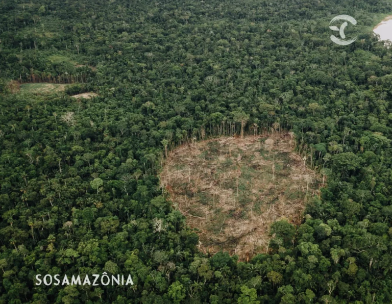 Acre desmatou o correspondente a quase 500 campos de futebol nos últimos anos, aponta estudo