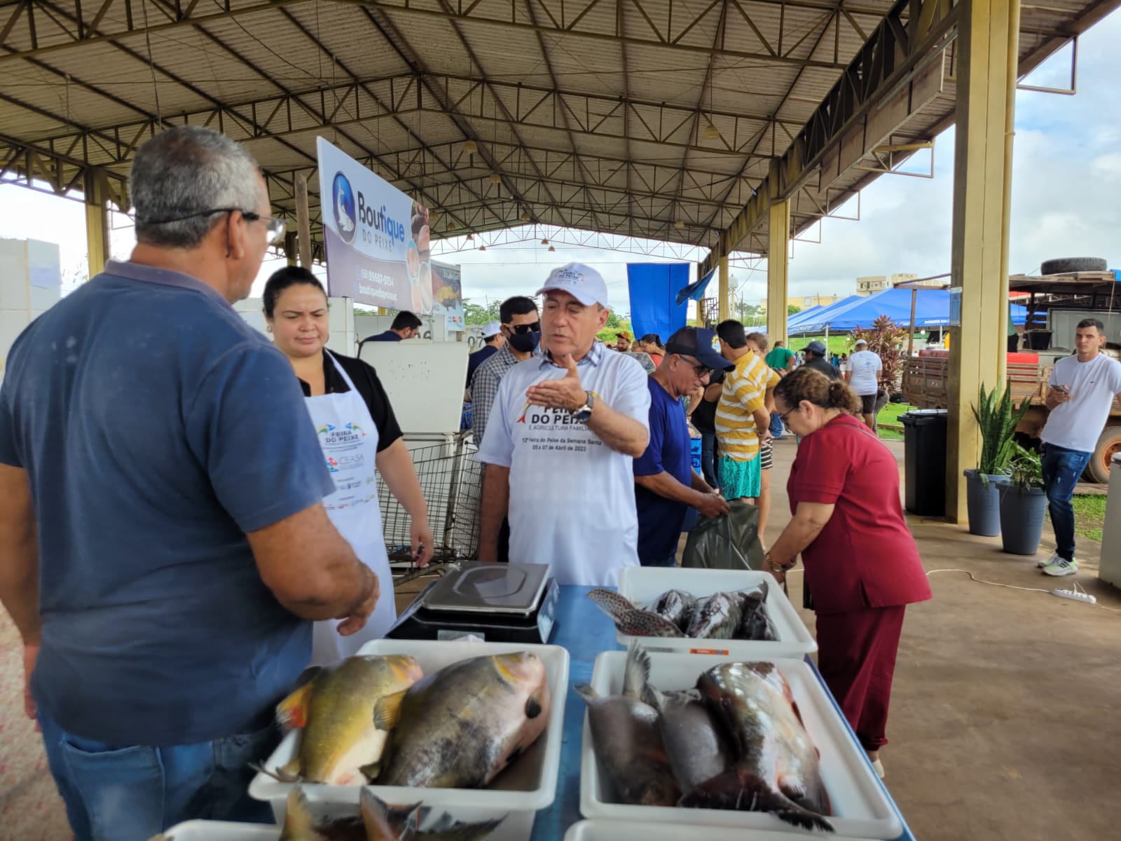 Bocalom reabre Feira do Peixe com expectativa de produtores superarem vendas do ano passado