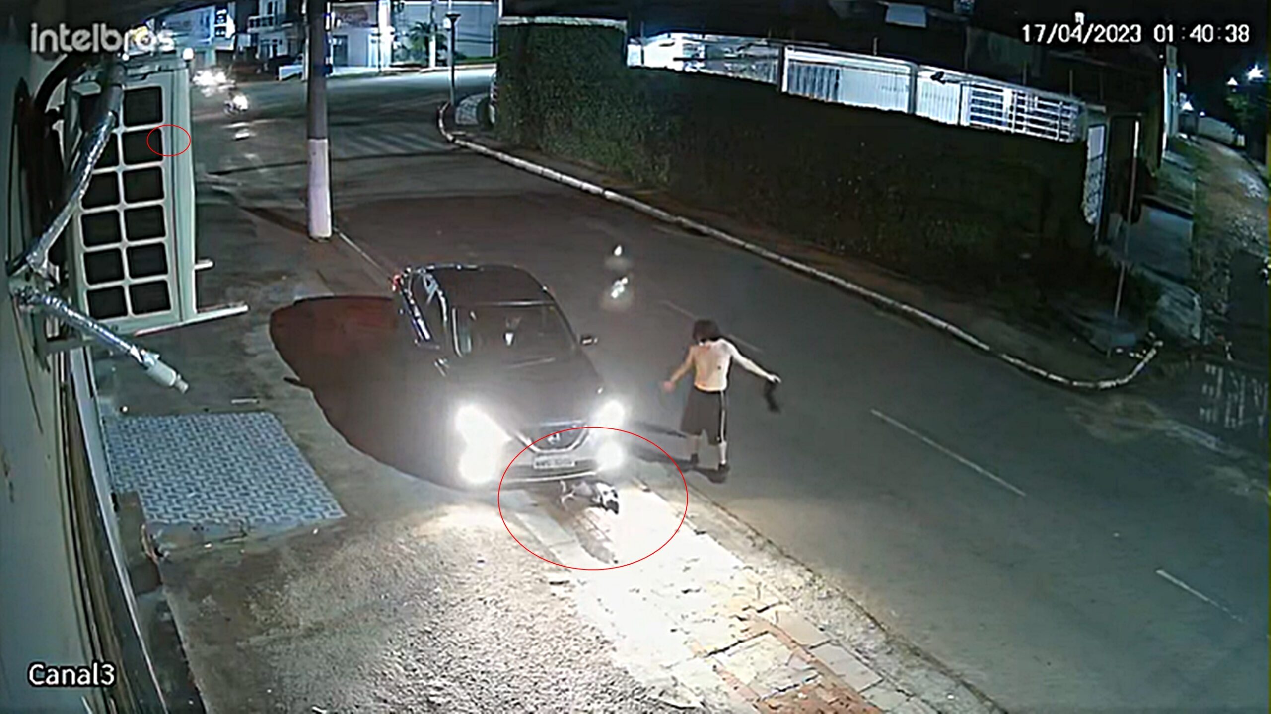 VÍDEO: homem atropela, arrasta cachorro e foge sem prestar socorro em Rio Branco