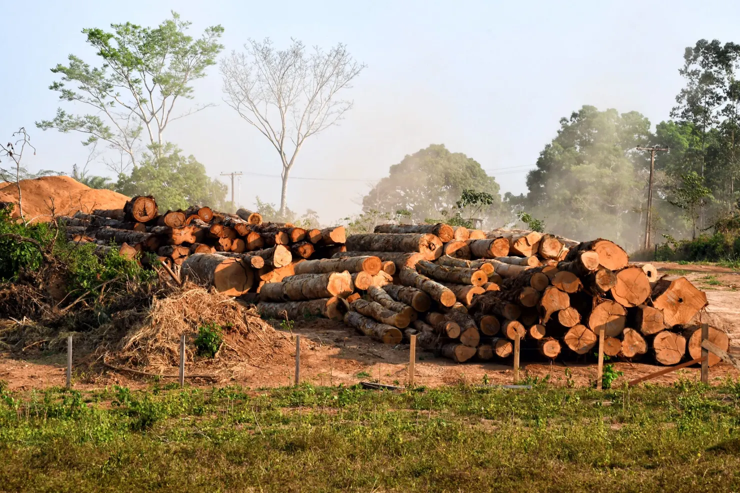 Propriedades embargadas pelo Ibama passam de 1 mil no Acre, diz relatório