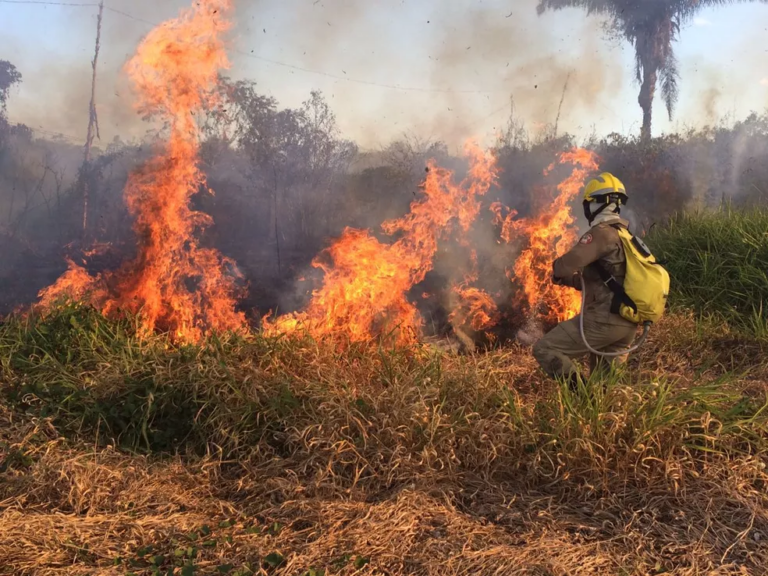 Após enchentes, Ibama decide instalar brigadas de combate a incêndios no Acre