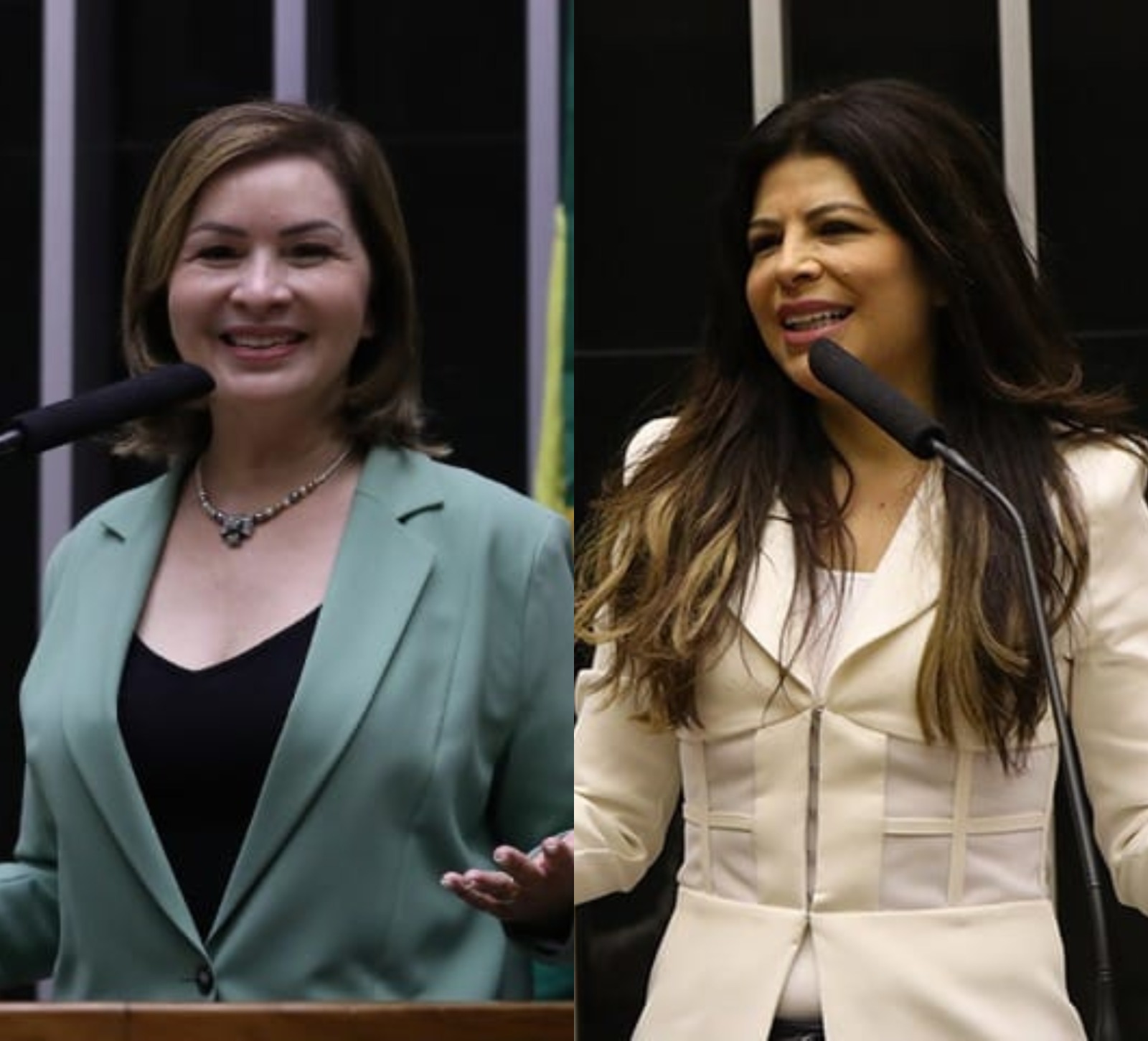 Socorro e Antônia Lúcia votam a favor da urgência do PL das Fake News