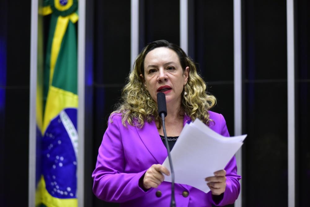 Deputada do PT cita Acre durante discurso sobre PL de combate ao estupro