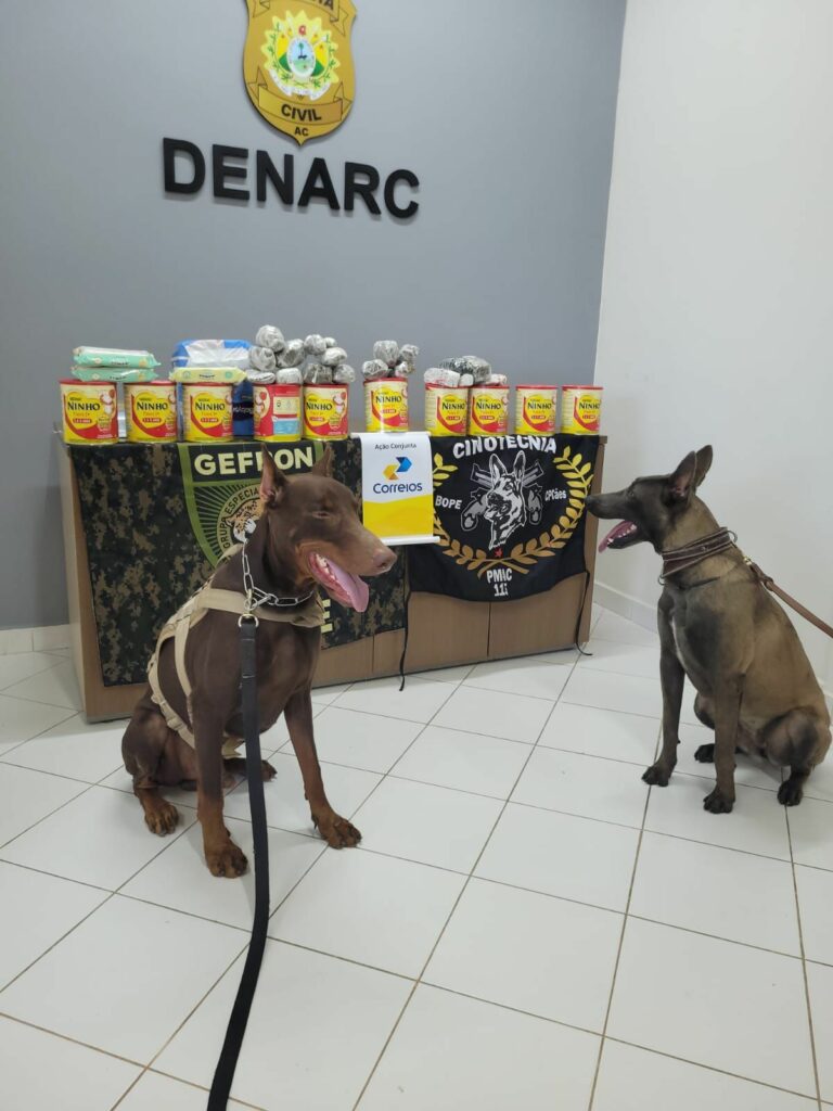 Cães da PM apreendem drogas que seriam levadas do Acre para São Paulo