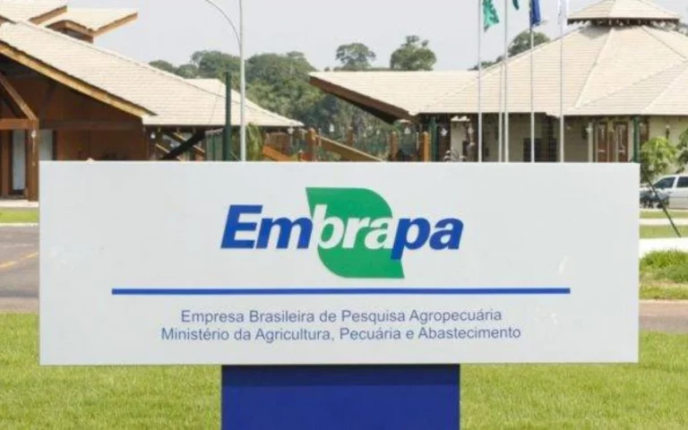 Concurso Embrapa tem edital em fase final de elaboração; 1.027 vagas