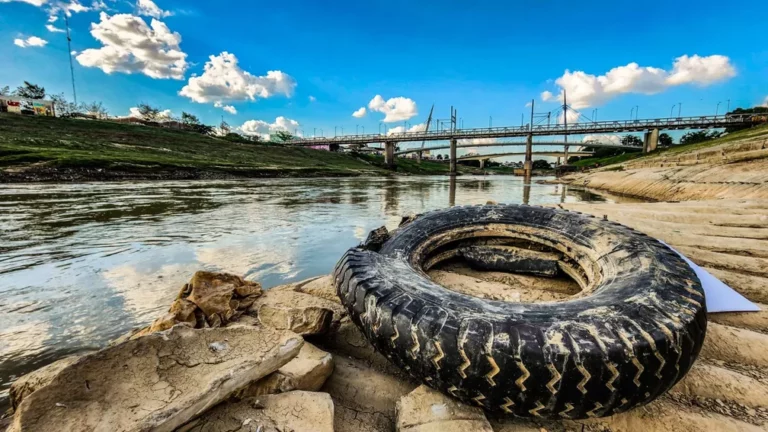 Impulsionado pelo El Ninõ, Acre enfrenta a pior seca dos últimos 40 anos