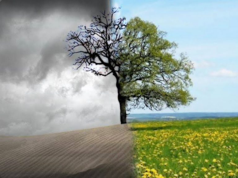 Artigo de Maysa Bezerra: Viva o luto hoje, para não viver eternamente no luto