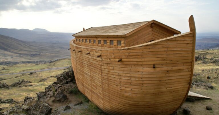 Persista e alcance o impossível: a história de Noé; leia o artigo de Maysa Bezerra