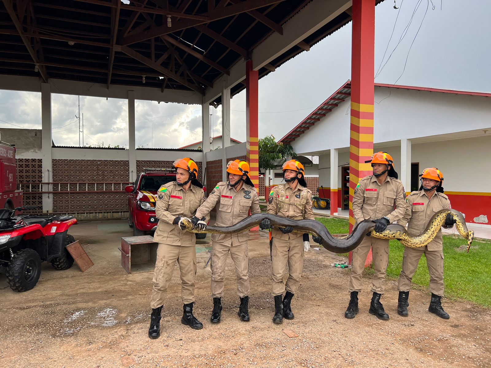VÍDEO: Cobra sucuri de 5 metros é capturada pelo Corpo de Bombeiros